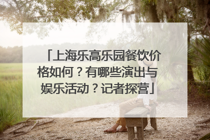 上海乐高乐园餐饮价格如何？有哪些演出与娱乐活动？记者探营