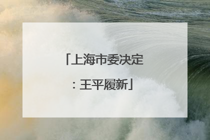 上海市委决定：王平履新