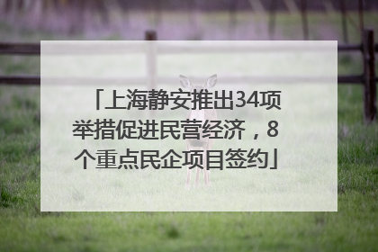 上海静安推出34项举措促进民营经济，8个重点民企项目签约