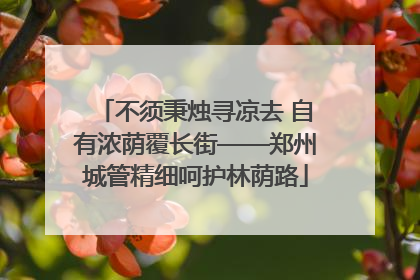 不须秉烛寻凉去 自有浓荫覆长街——郑州城管精细呵护林荫路