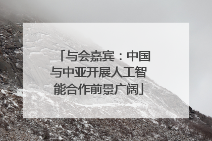 与会嘉宾：中国与中亚开展人工智能合作前景广阔