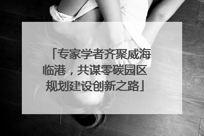 专家学者齐聚威海临港，共谋零碳园区规划建设创新之路