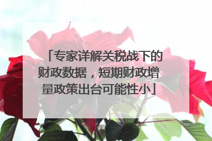 专家详解关税战下的财政数据，短期财政增量政策出台可能性小