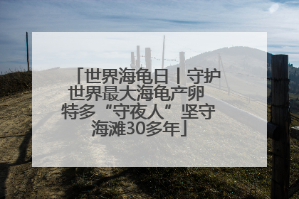 世界海龟日丨守护世界最大海龟产卵 特多“守夜人”坚守海滩30多年