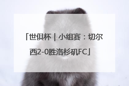 世俱杯｜小组赛：切尔西2-0胜洛杉矶FC