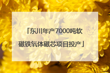 东川年产7000吨软磁铁氧体磁芯项目投产