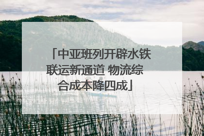 中亚班列开辟水铁联运新通道 物流综合成本降四成