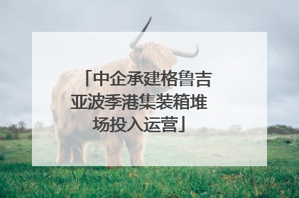 中企承建格鲁吉亚波季港集装箱堆场投入运营