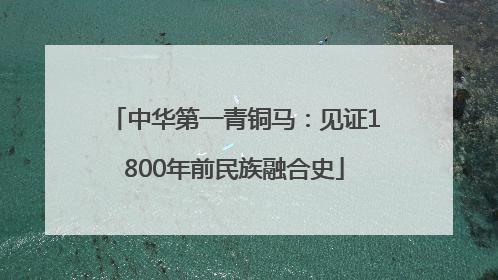 中华第一青铜马：见证1800年前民族融合史