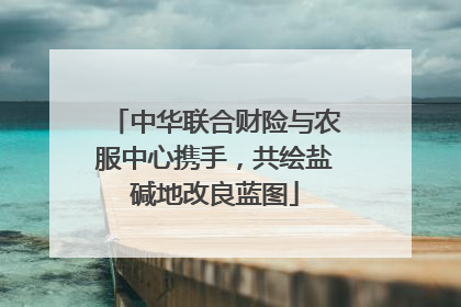 中华联合财险与农服中心携手，共绘盐碱地改良蓝图