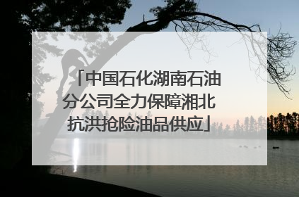 中国石化湖南石油分公司全力保障湘北抗洪抢险油品供应