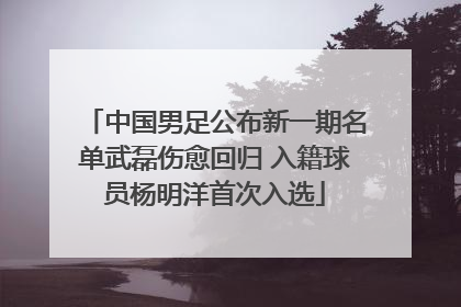 中国男足公布新一期名单武磊伤愈回归 入籍球员杨明洋首次入选