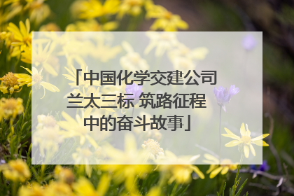 中国化学交建公司兰太三标 筑路征程中的奋斗故事