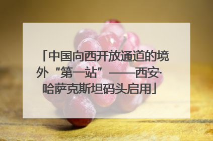 中国向西开放通道的境外“第一站”——西安·哈萨克斯坦码头启用