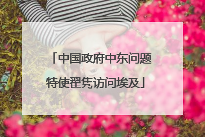 中国政府中东问题特使翟隽访问埃及