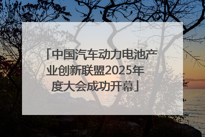 中国汽车动力电池产业创新联盟2025年度大会成功开幕