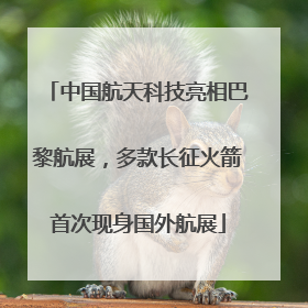 中国航天科技亮相巴黎航展，多款长征火箭首次现身国外航展