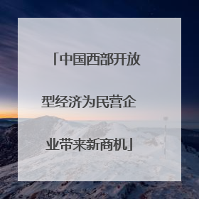 中国西部开放型经济为民营企业带来新商机