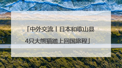 中外交流丨日本和歌山县4只大熊猫踏上回国旅程