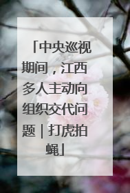 中央巡视期间，江西多人主动向组织交代问题｜打虎拍蝇