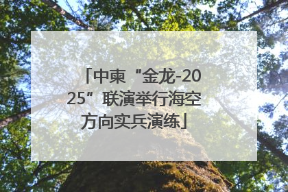 中柬“金龙-2025”联演举行海空方向实兵演练