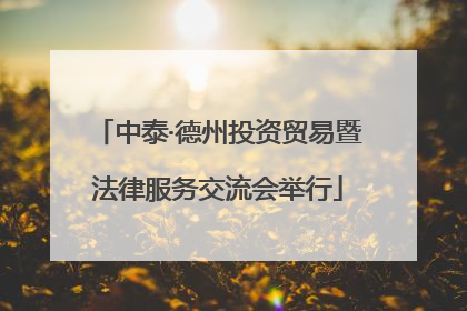 中泰·德州投资贸易暨法律服务交流会举行