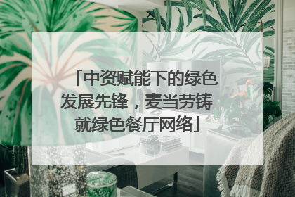 中资赋能下的绿色发展先锋，麦当劳铸就绿色餐厅网络