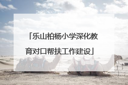 乐山柏杨小学深化教育对口帮扶工作建设