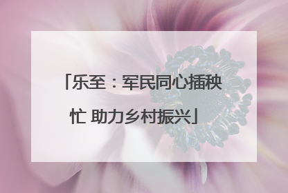 乐至：军民同心插秧忙 助力乡村振兴