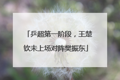 乒超第一阶段，王楚钦未上场对阵樊振东