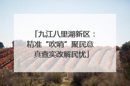 九江八里湖新区：精准“吹哨”聚民意 真查实改解民忧