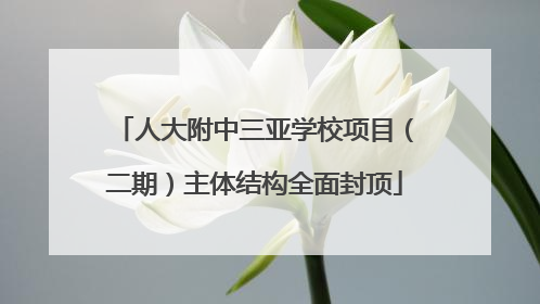 人大附中三亚学校项目（二期）主体结构全面封顶