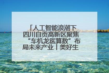 人工智能浪潮下 四川自贡高新区聚焦“车机龙医算数”布局未来产业丨美好生活有“盐”味
