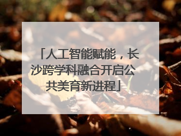 人工智能赋能，长沙跨学科融合开启公共美育新进程