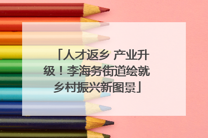 人才返乡 产业升级！李海务街道绘就乡村振兴新图景