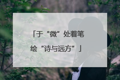 于“微”处着笔 绘“诗与远方”
