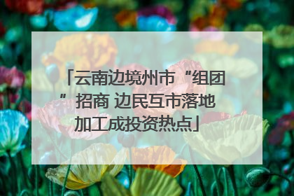 云南边境州市“组团”招商 边民互市落地加工成投资热点