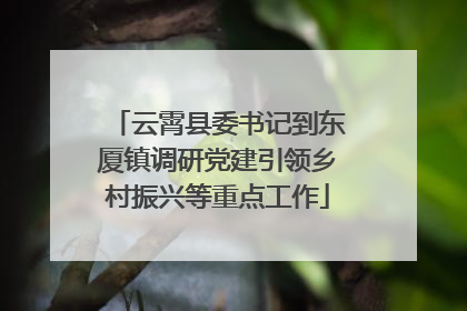 云霄县委书记到东厦镇调研党建引领乡村振兴等重点工作