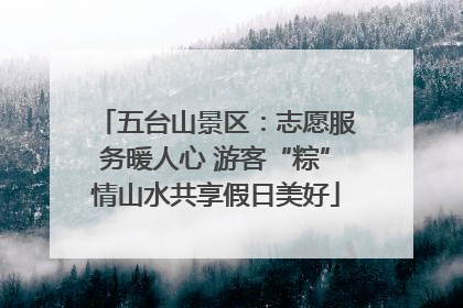 五台山景区：志愿服务暖人心 游客“粽”情山水共享假日美好
