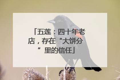 五莲：四十年老店，存在“大饼分”里的信任