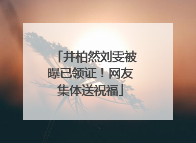 井柏然刘雯被曝已领证！网友集体送祝福