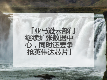 亚马逊云部门继续扩张数据中心，同时还要争抢英伟达芯片