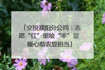 交投濮阳分公司：志愿“红”里绘“丰”景 暖心助农显担当