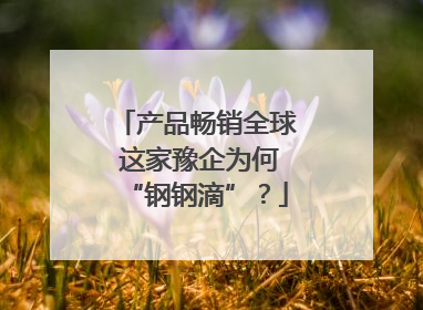 产品畅销全球 这家豫企为何“钢钢滴”？
