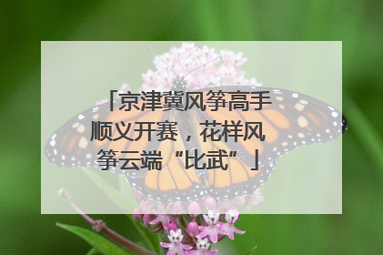 京津冀风筝高手顺义开赛，花样风筝云端“比武”