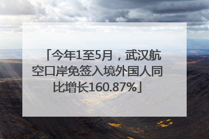 今年1至5月，武汉航空口岸免签入境外国人同比增长160.87%