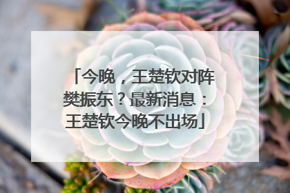 今晚，王楚钦对阵樊振东？最新消息：王楚钦今晚不出场