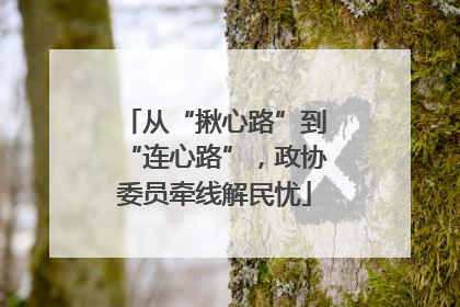 从“揪心路”到“连心路”，政协委员牵线解民忧