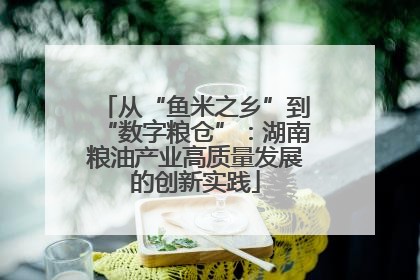从“鱼米之乡”到“数字粮仓”：湖南粮油产业高质量发展的创新实践