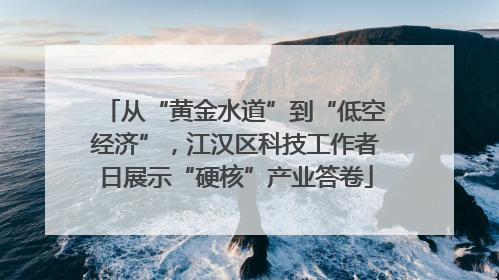 从“黄金水道”到“低空经济”，江汉区科技工作者日展示“硬核”产业答卷